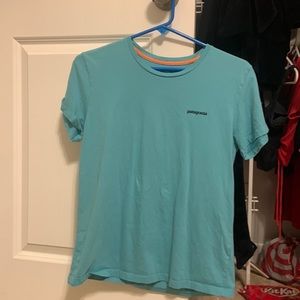 Patagonia tee